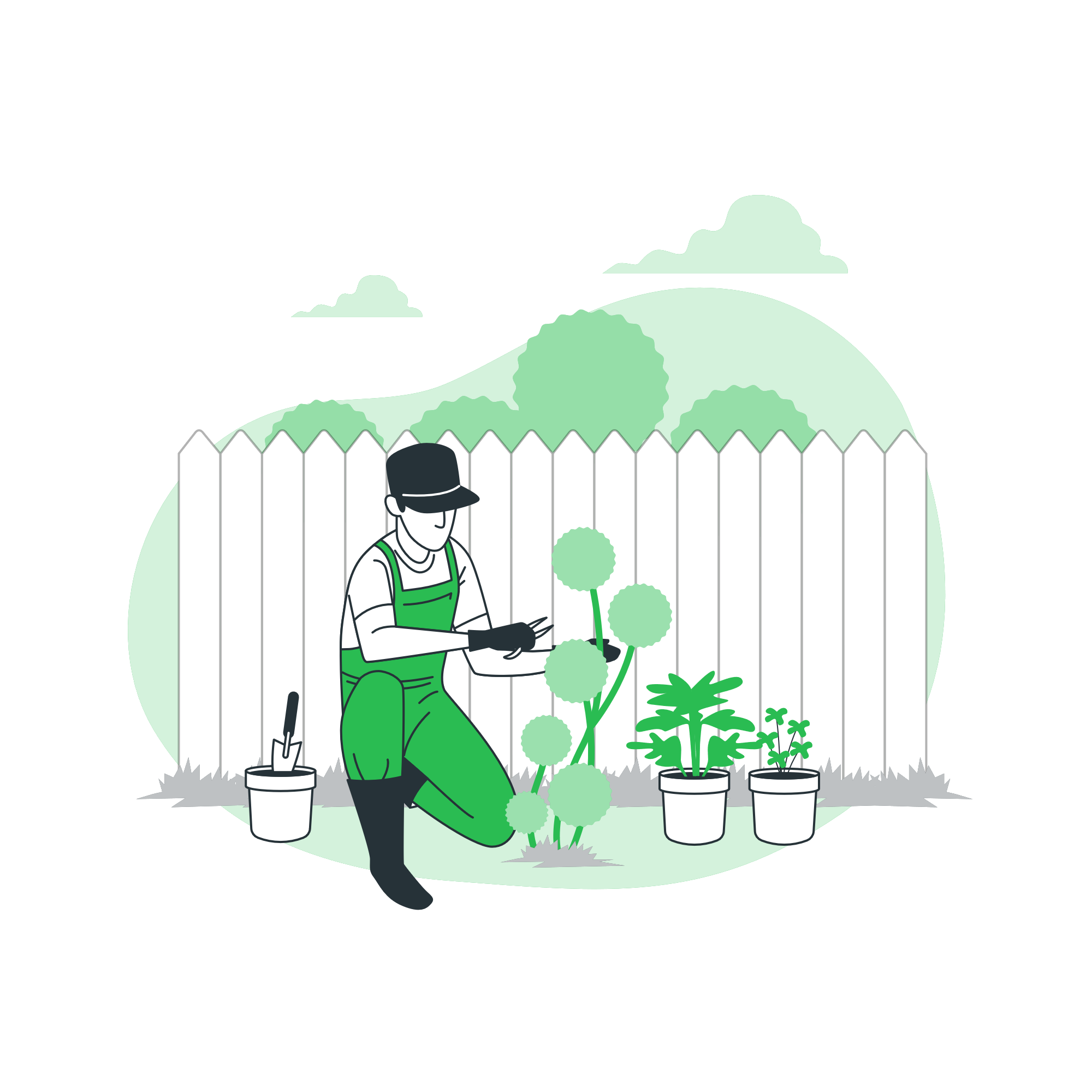 project-growing-garden-business-webpage